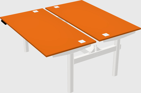 Shared electric desk