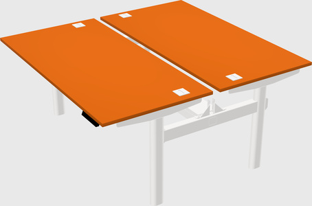 Shared electric desk