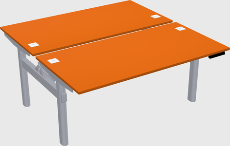 Shared electric desk