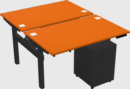 Shared electric desk