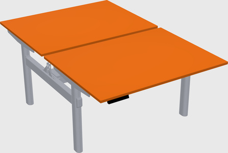 Shared electric desk