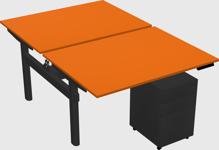 Shared electric desk
