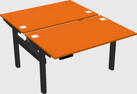 Shared electric desk
