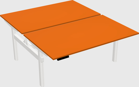 Shared electric desk