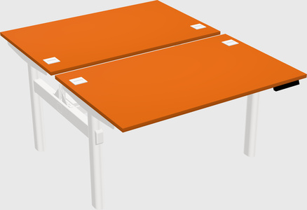 Shared electric desk
