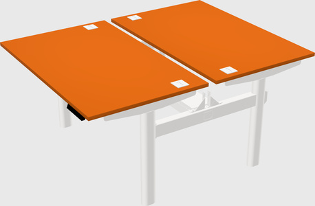 Shared electric desk