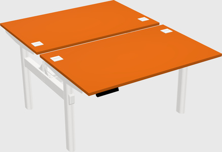 Shared electric desk