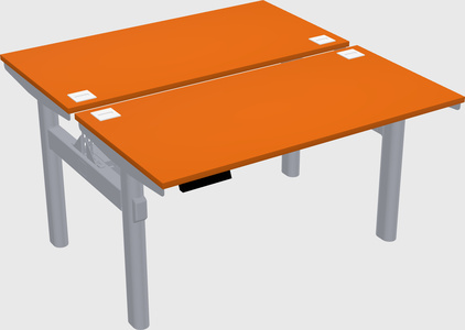 Shared electric desk
