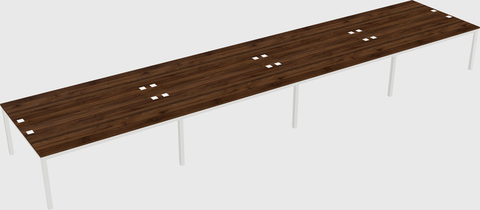 Shared Rectangular Desk
