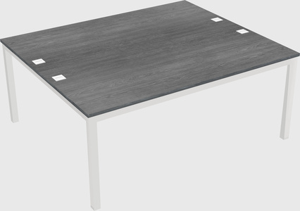 Shared Rectangular Desk