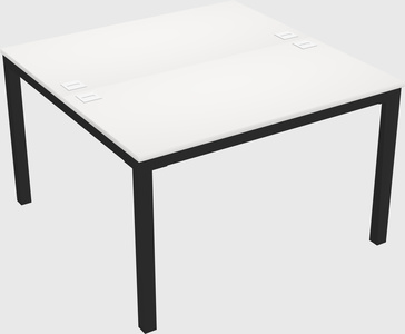 Shared Rectangular Desk