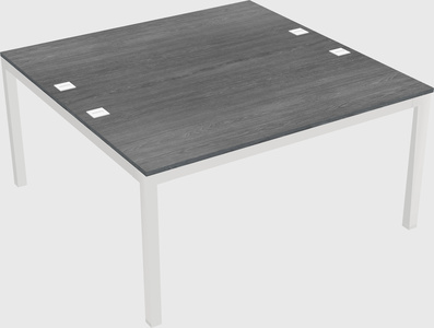 Shared Rectangular Desk