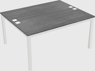 Shared Rectangular Desk