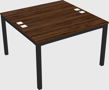 Shared Rectangular Desk