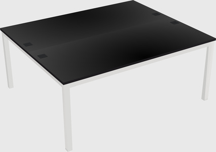 Shared Rectangular Desk