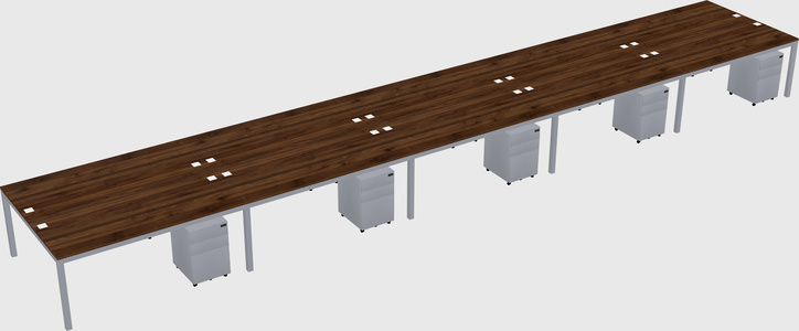 Shared Rectangular Desk