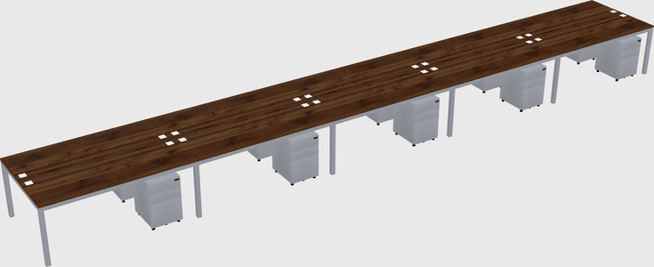 Shared Rectangular Desk