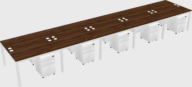 Shared Rectangular Desk