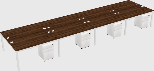 Shared Rectangular Desk