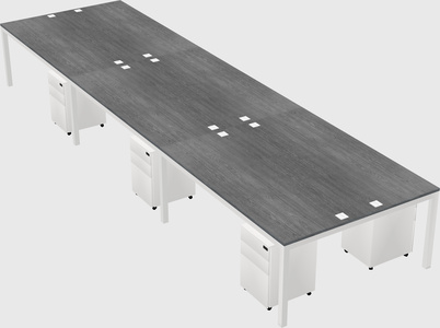 Shared rectangular desk