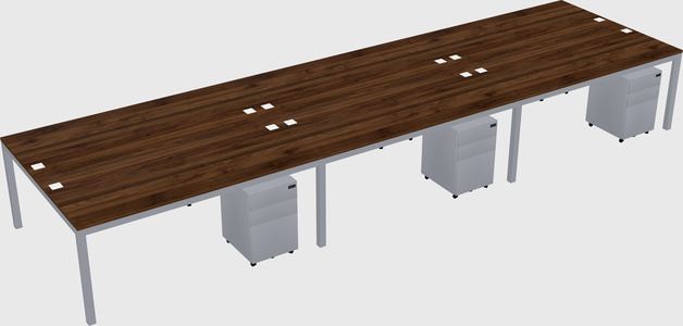 Shared Rectangular Desk