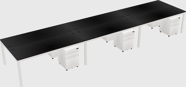 Shared Rectangular Desk