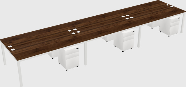 Shared Rectangular Desk