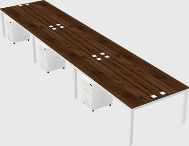 Shared rectangular desk