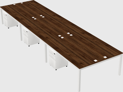 Shared rectangular desk