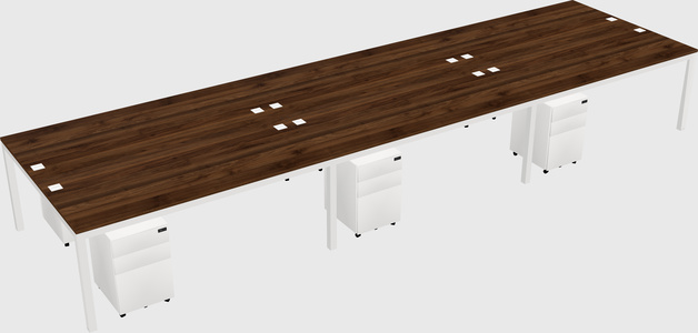 Shared rectangular desk