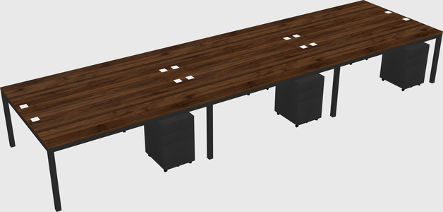 Shared Rectangular Desk
