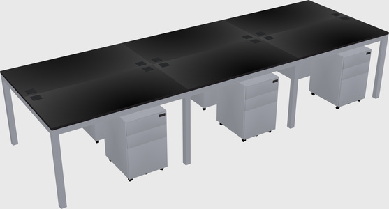 Shared Rectangular Desk