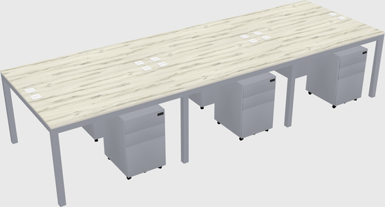 Shared Rectangular Desk