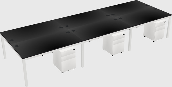 Shared Rectangular Desk