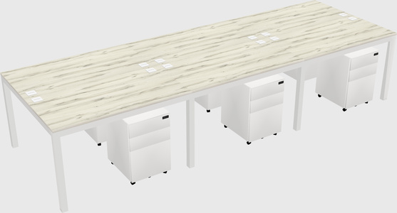 Shared Rectangular Desk