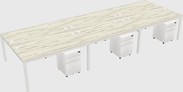 Shared Rectangular Desk