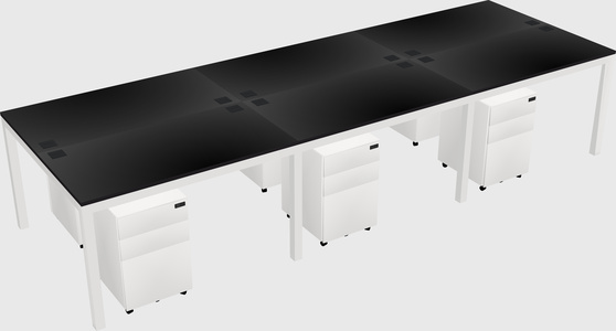 Shared rectangular desk