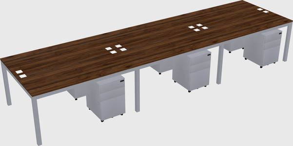 Shared Rectangular Desk