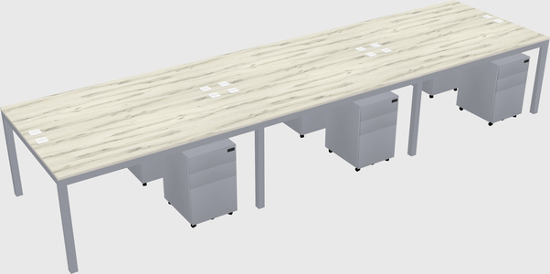 Shared Rectangular Desk