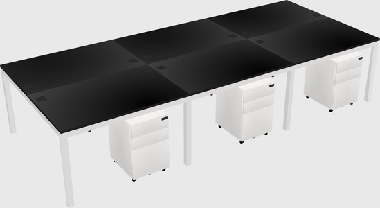 Shared Rectangular Desk