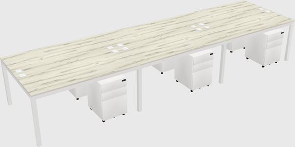 Shared Rectangular Desk