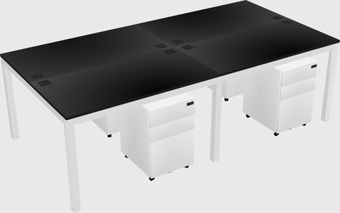 Shared Rectangular Desk
