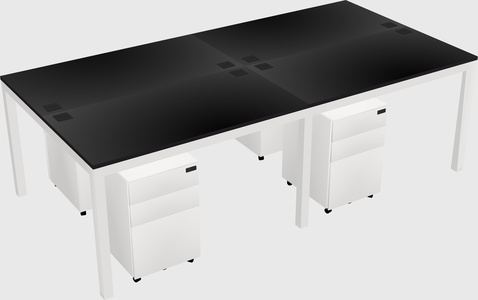 Shared rectangular desk