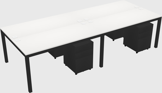 Shared Rectangular Desk