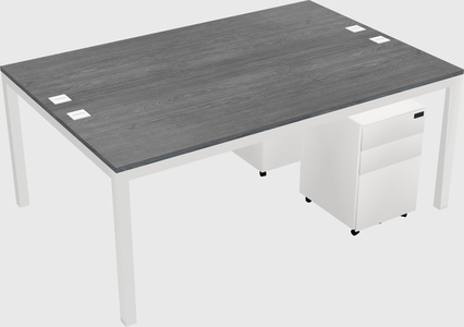 Shared Rectangular Desk