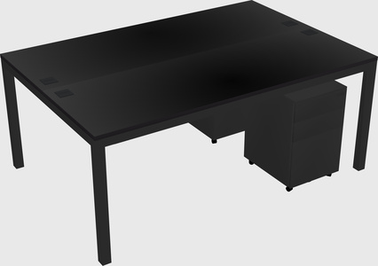 Shared Rectangular Desk