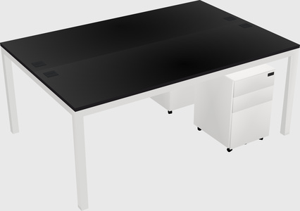 Shared Rectangular Desk
