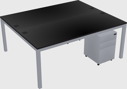 Shared Rectangular Desk
