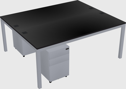 Shared rectangular desk
