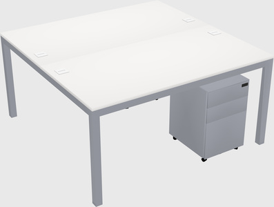 Shared Rectangular Desk